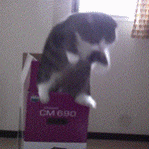 657461.gif