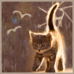 1411715.gif