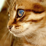 279863091.gif