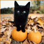 cadb9f281456.gif