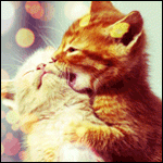 f1c7b62f80c7.gif