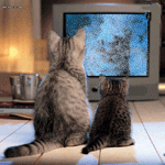 f2ff660472d9.gif