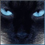 f98ea71e1762.gif