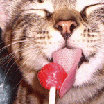 image_10708111516544819102.gif