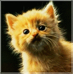 kic003.gif