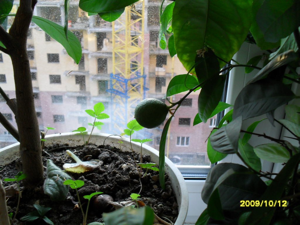 22.04.2010 8:54:47