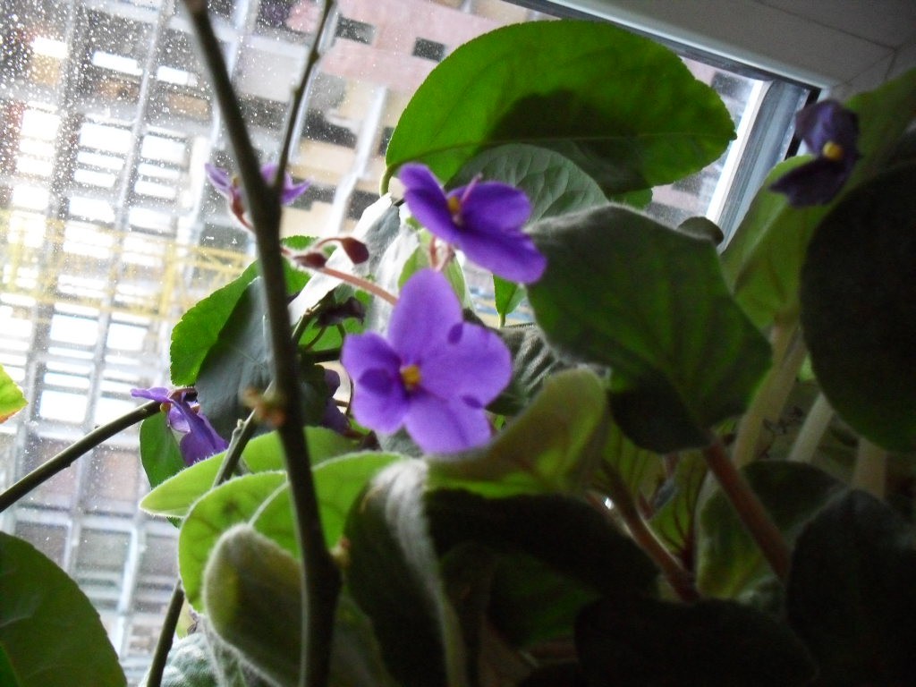 22.04.2010 8:55:38