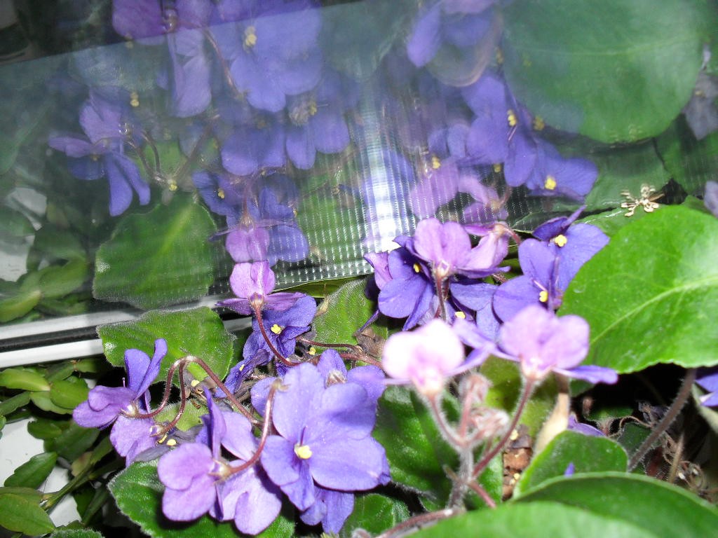 22.04.2010 8:56:25