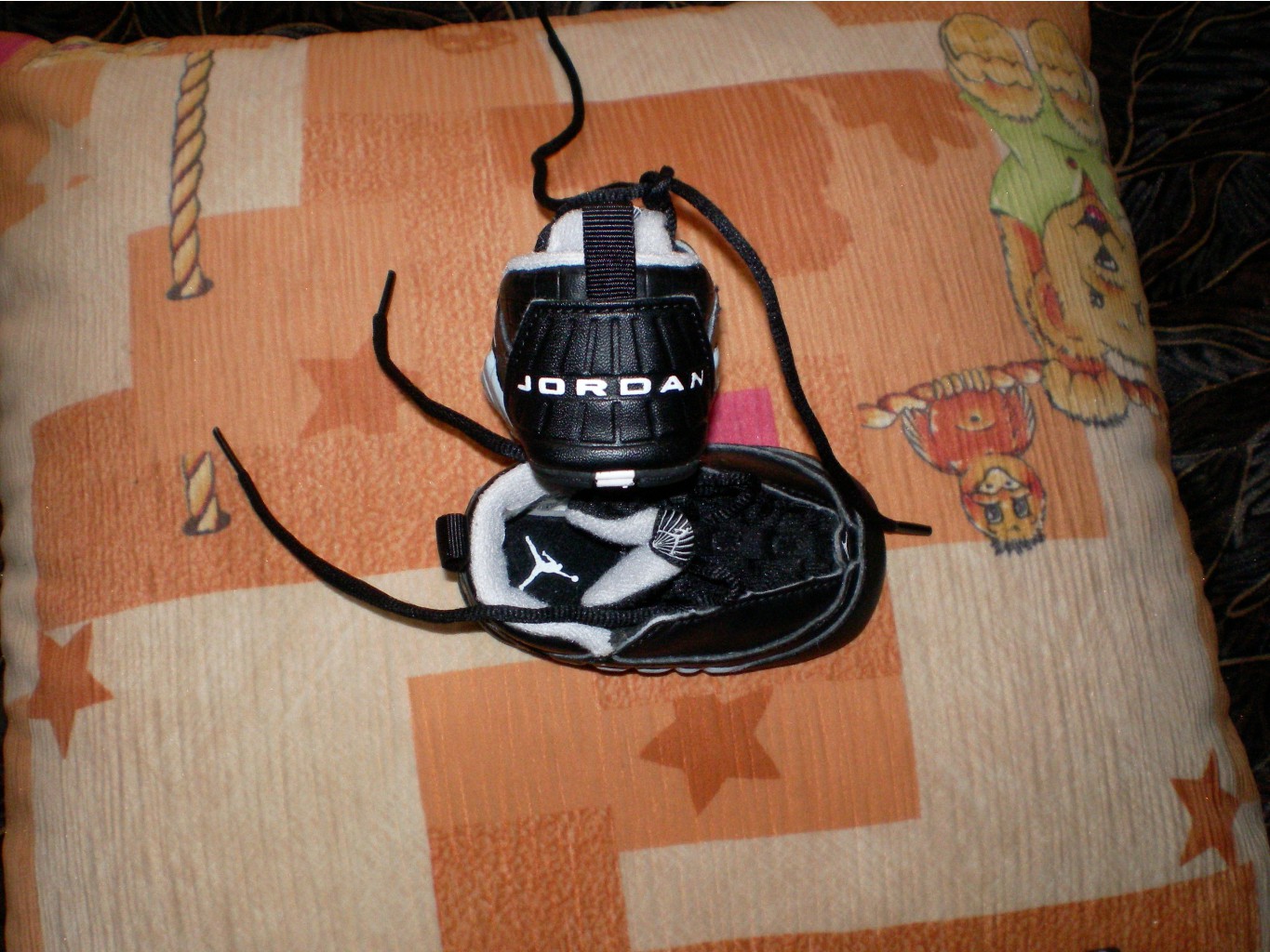 SANY1180.JPG