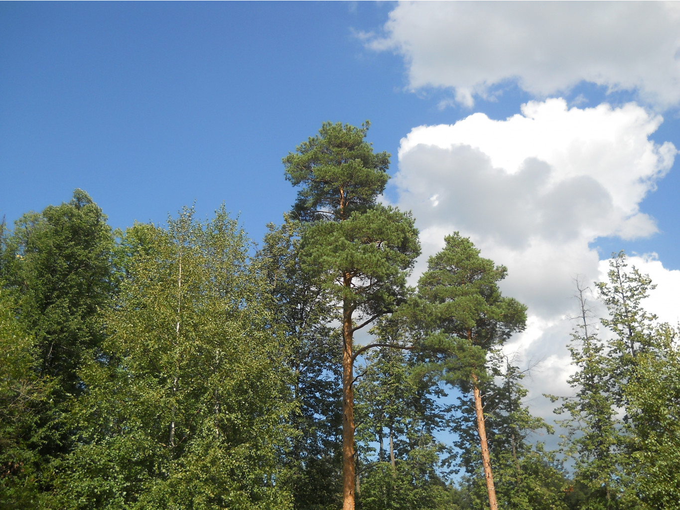 DSCN0001.JPG
