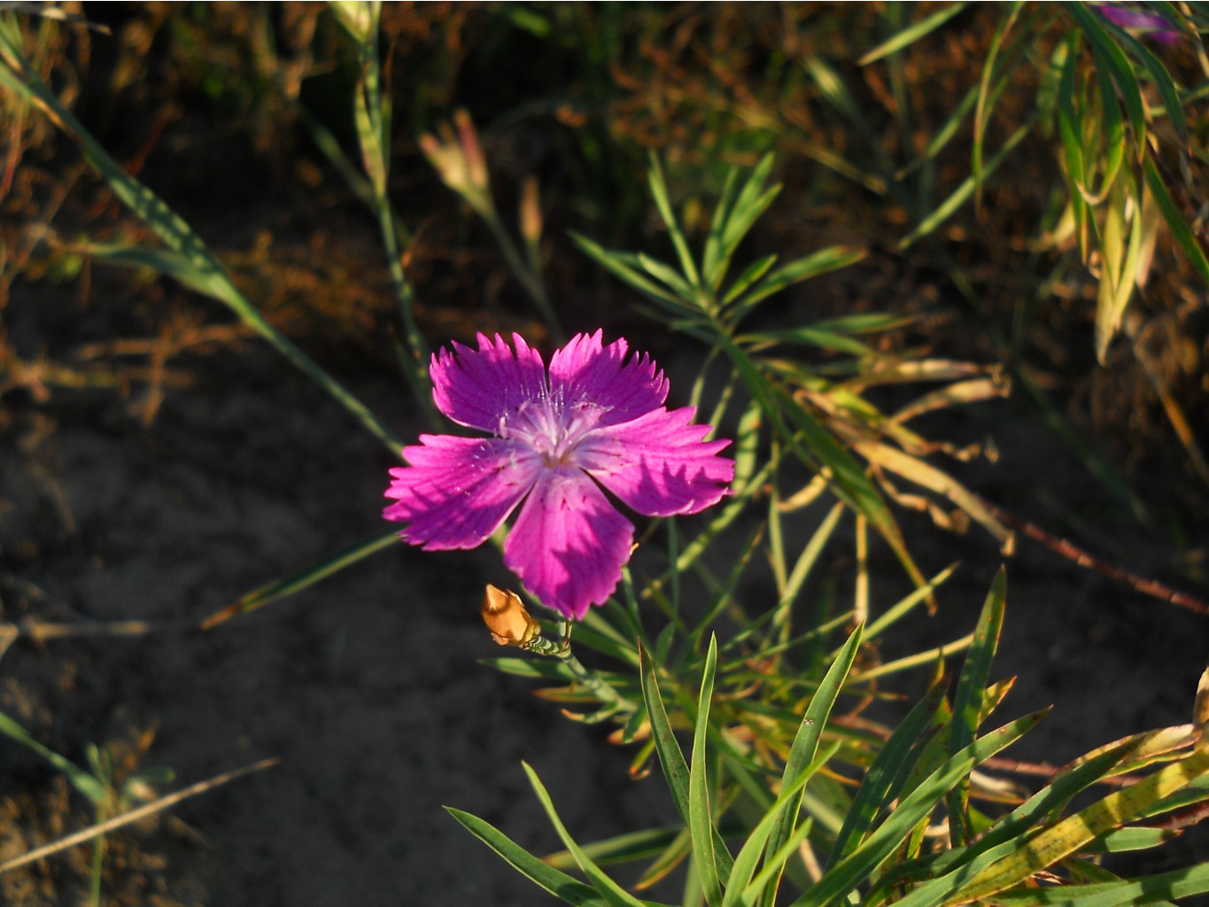 DSCN2389.JPG