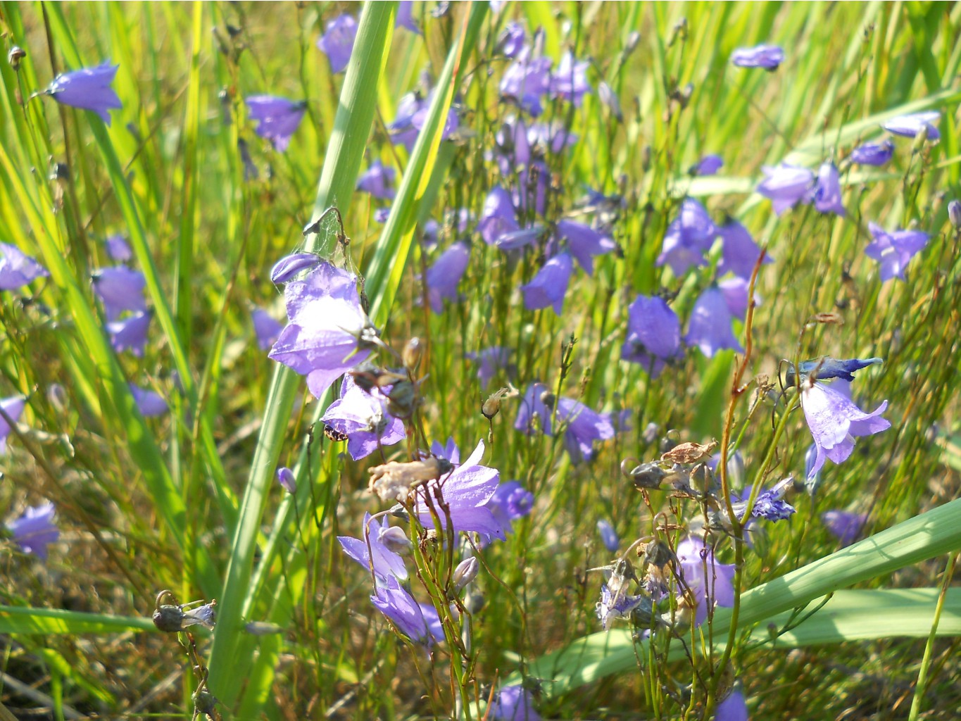 DSCN2564.JPG