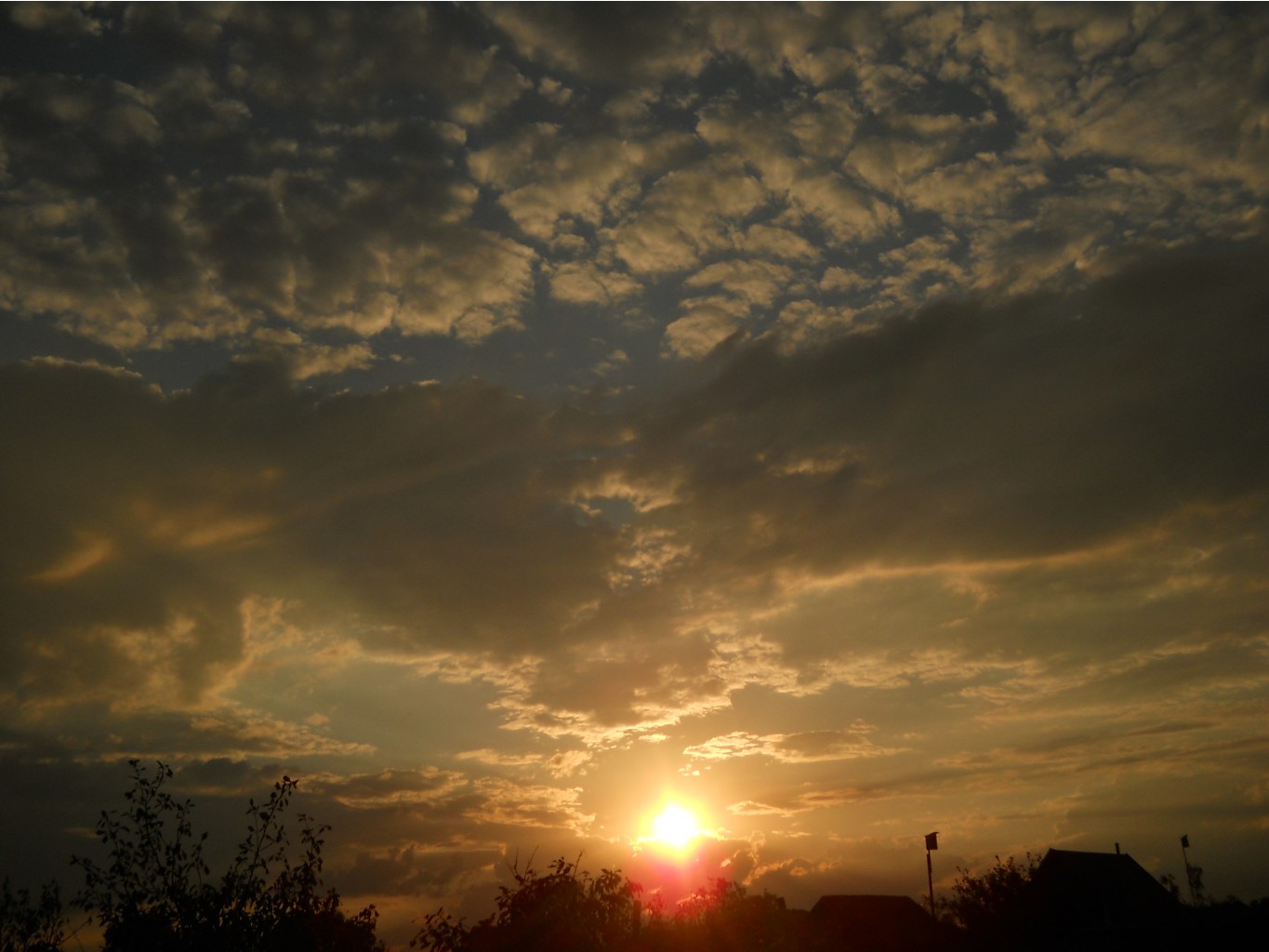 DSCN3136.JPG