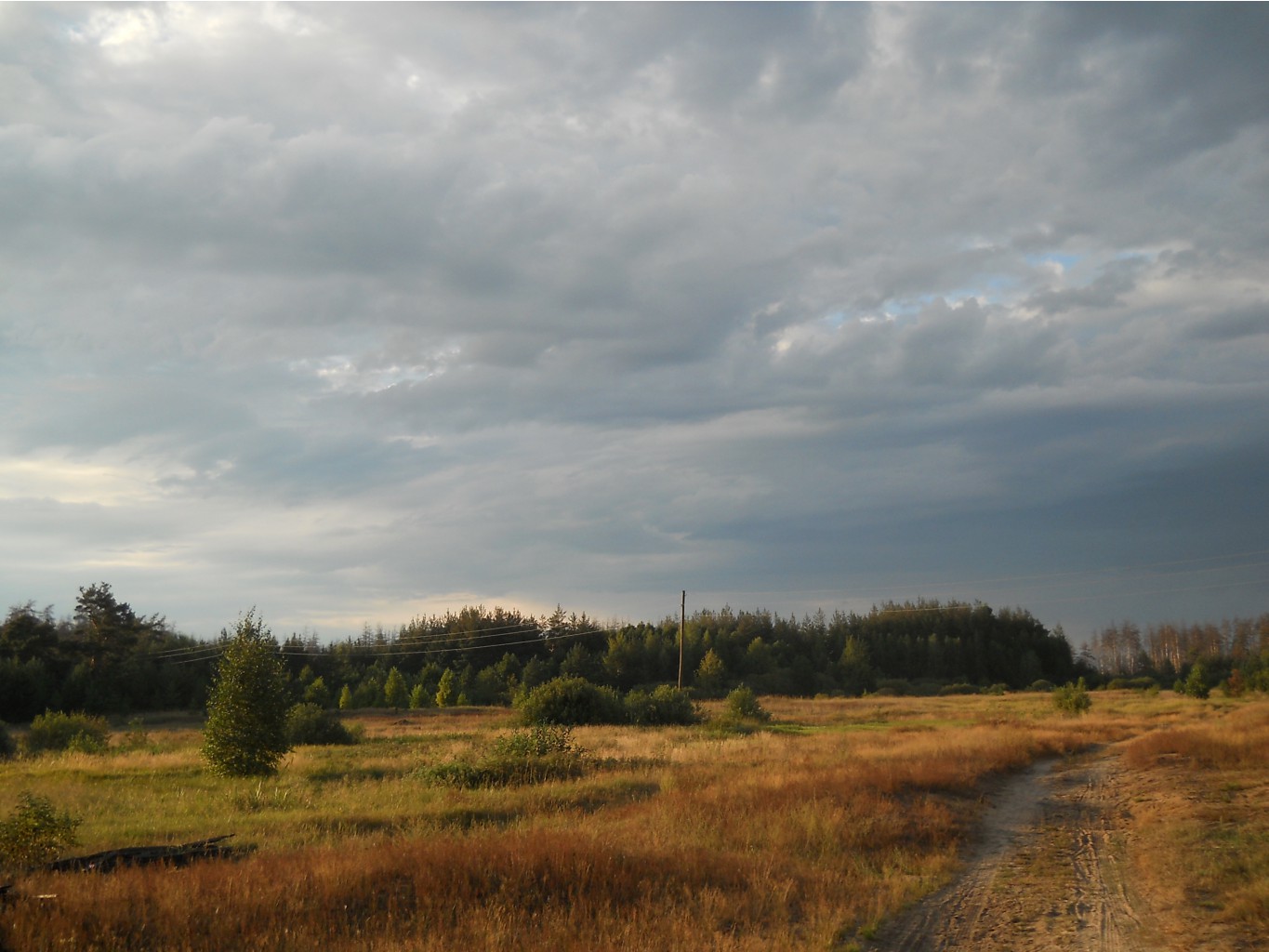 DSCN3270.JPG