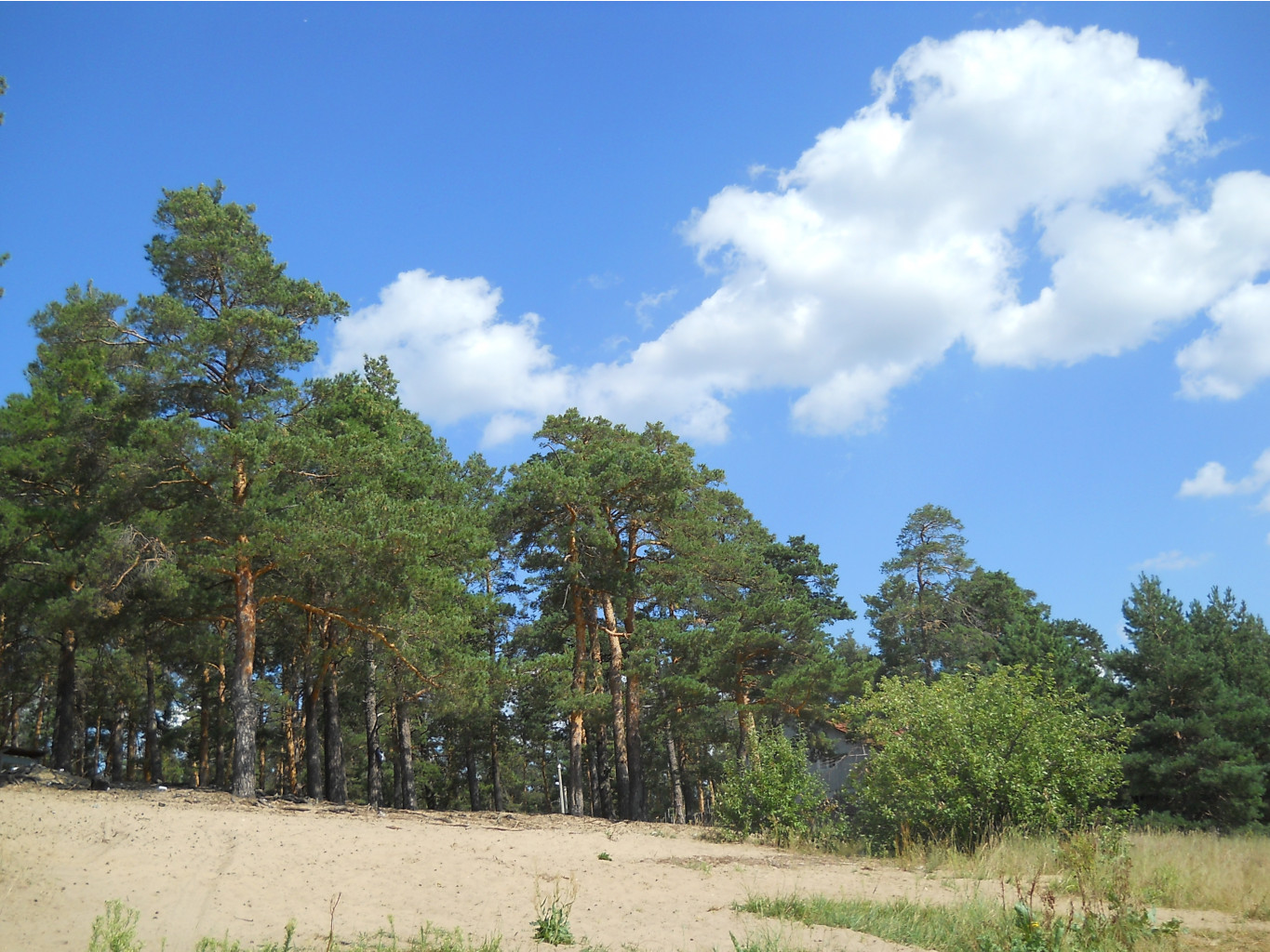 DSCN3569.JPG