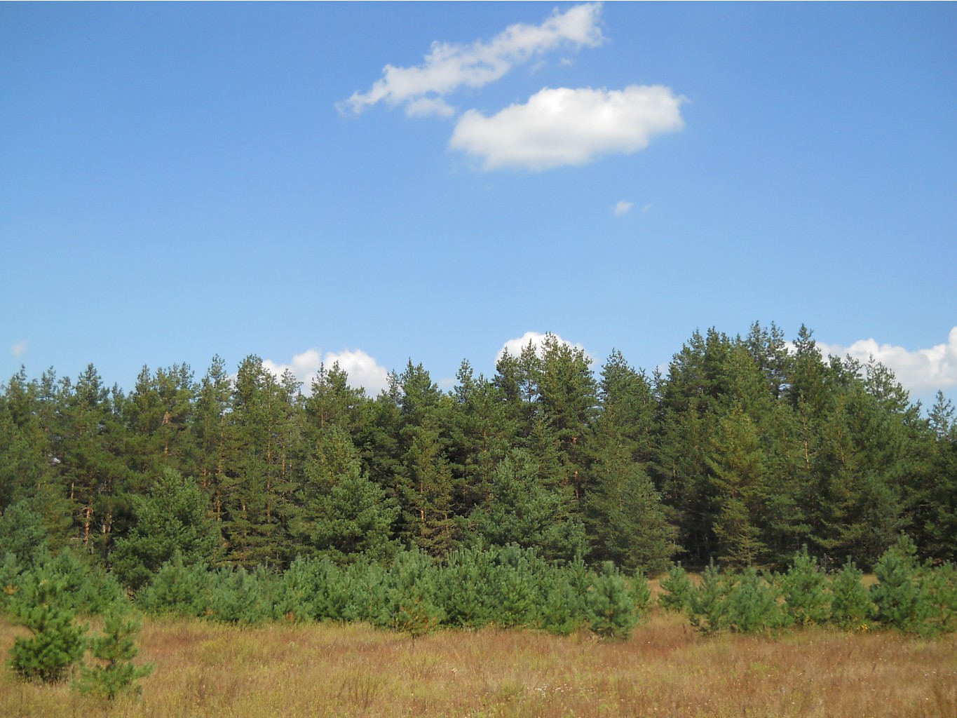 DSCN3577.JPG