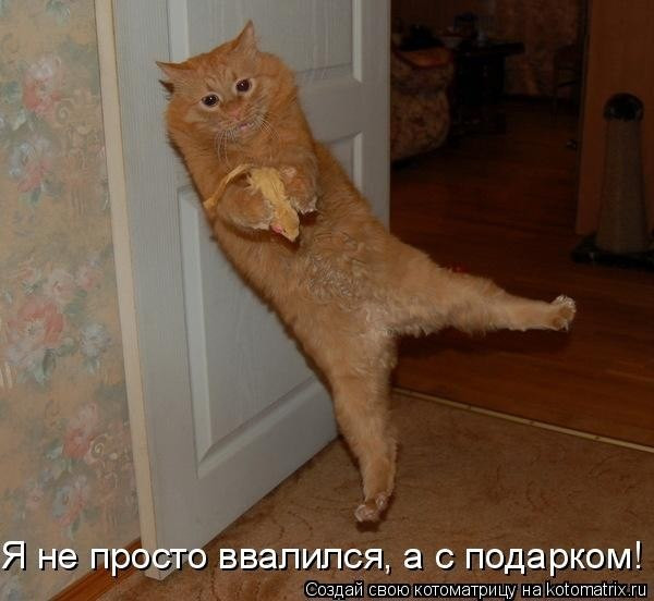 ipH1DHI_tvU.jpg