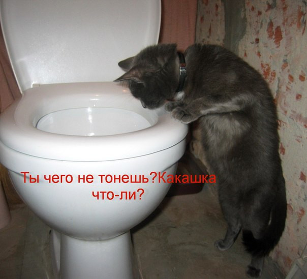 NTDwNGB0sWg.jpg