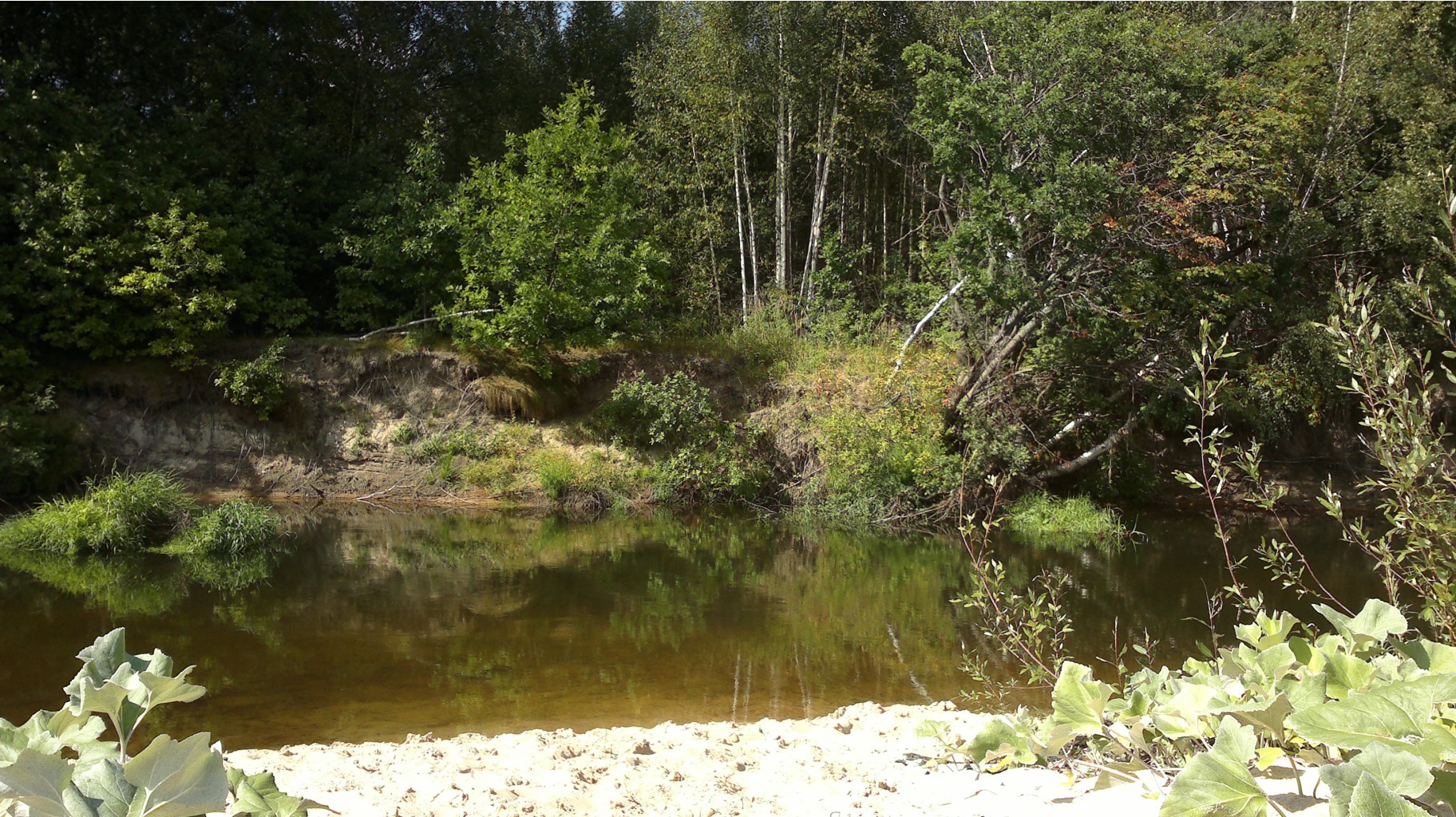 12082012252.jpg