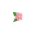 favicon_present.png