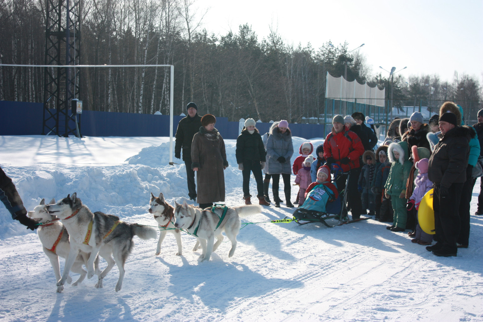 IMG_7946.JPG