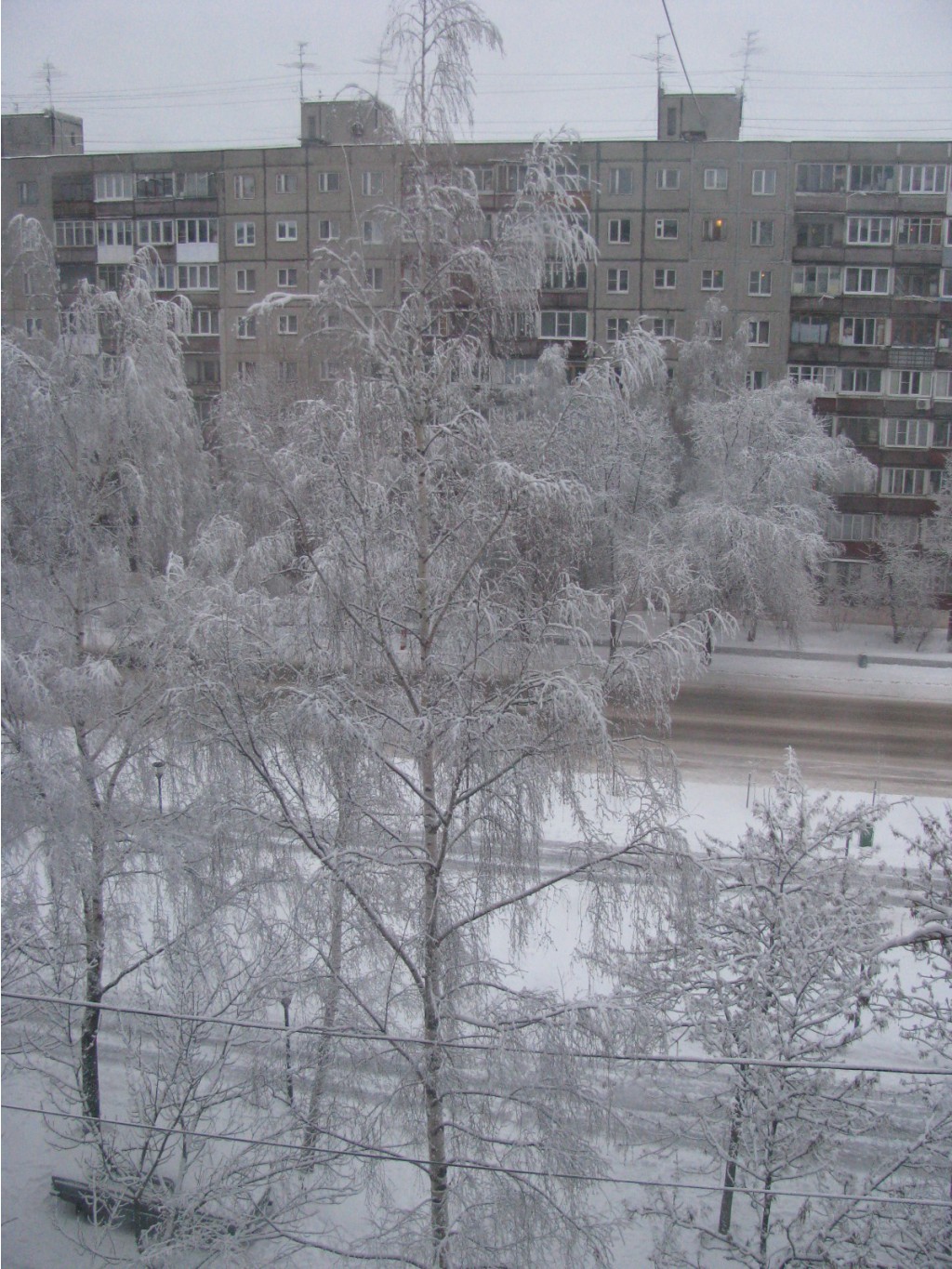 IMG_7796.JPG