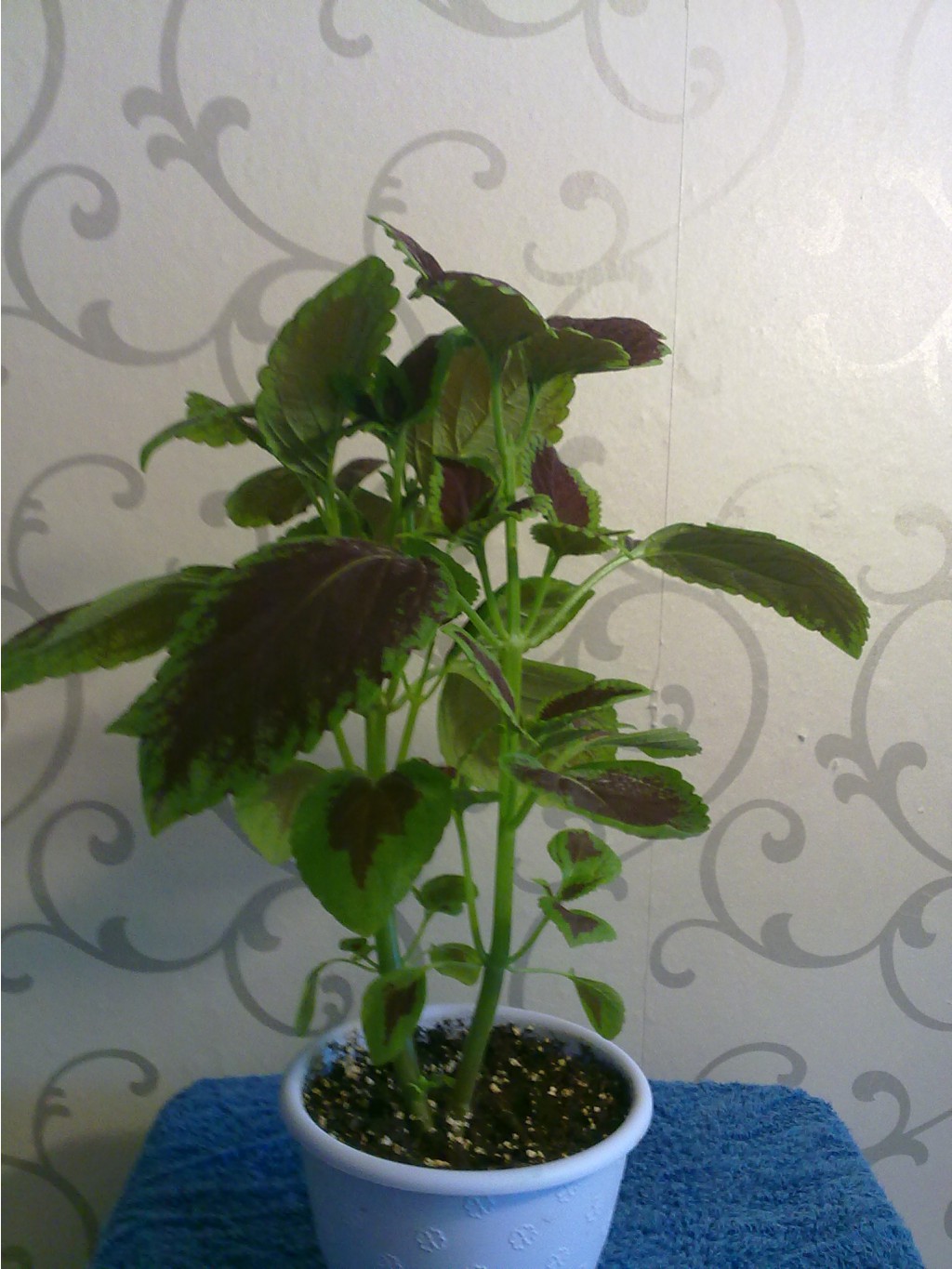 09082012404.jpg