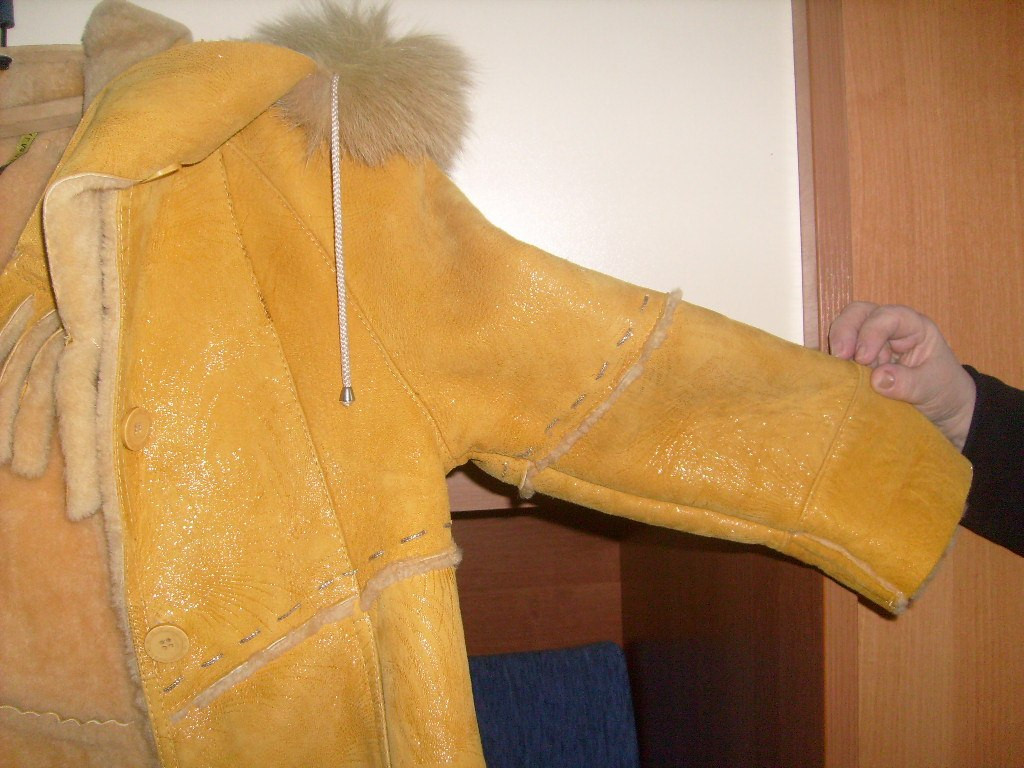 z_179bd7ed.jpg