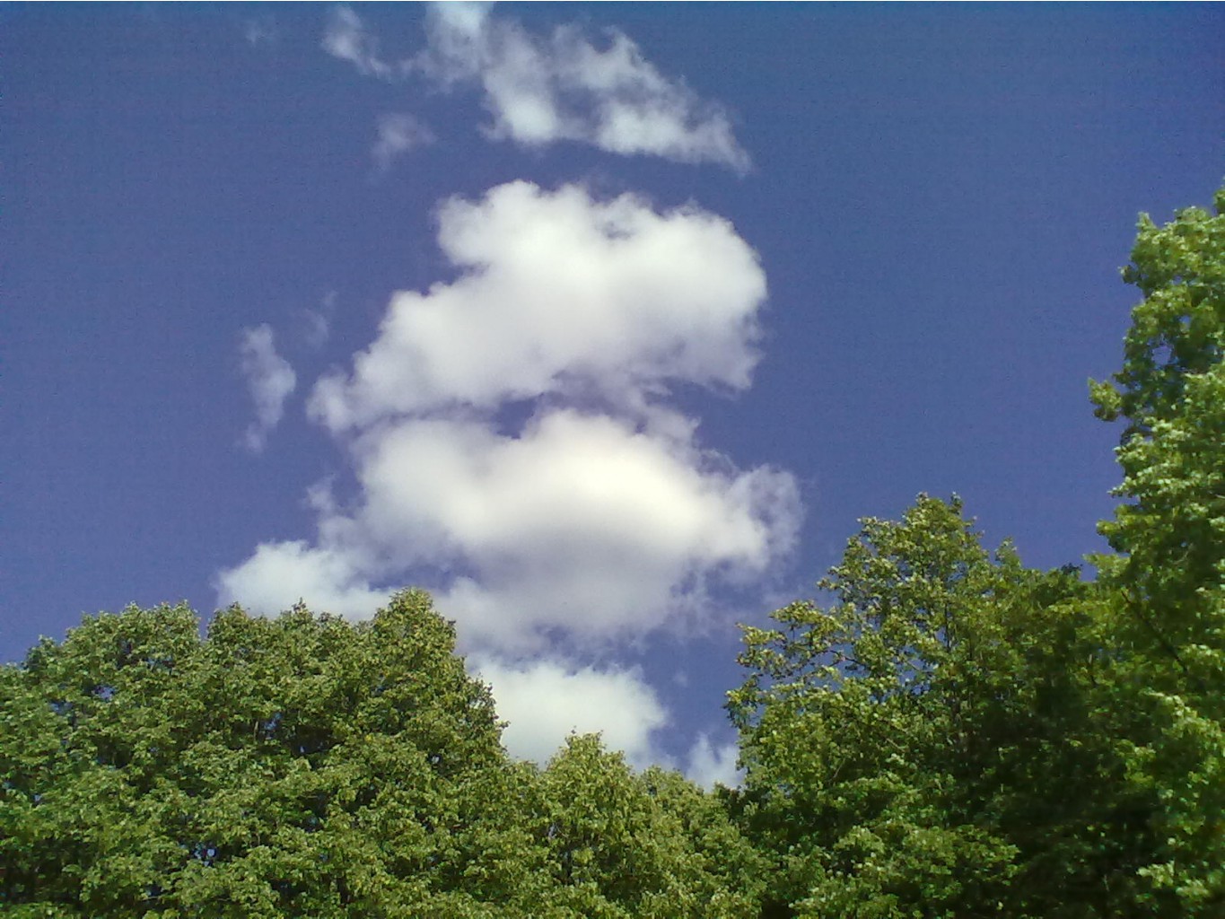 190820126594.jpg