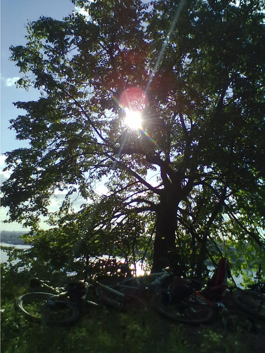 190820126602.jpg