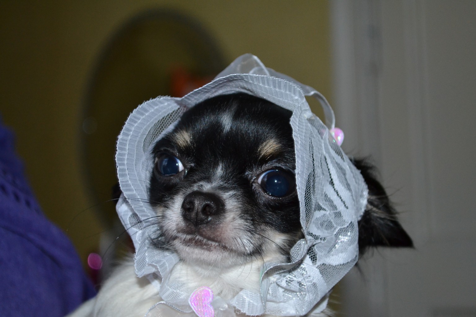 DSC_0180.JPG