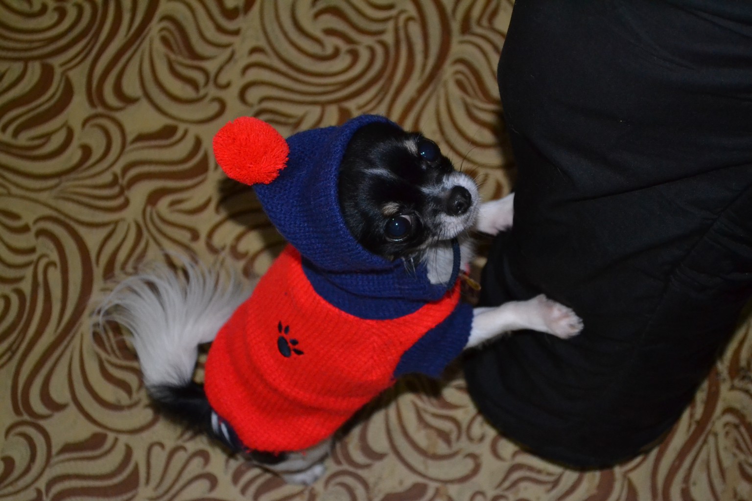 DSC_0184.JPG