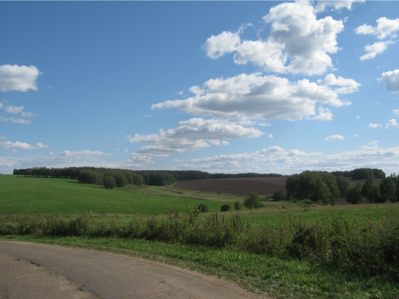 2012-08-19_15-46-59.jpg