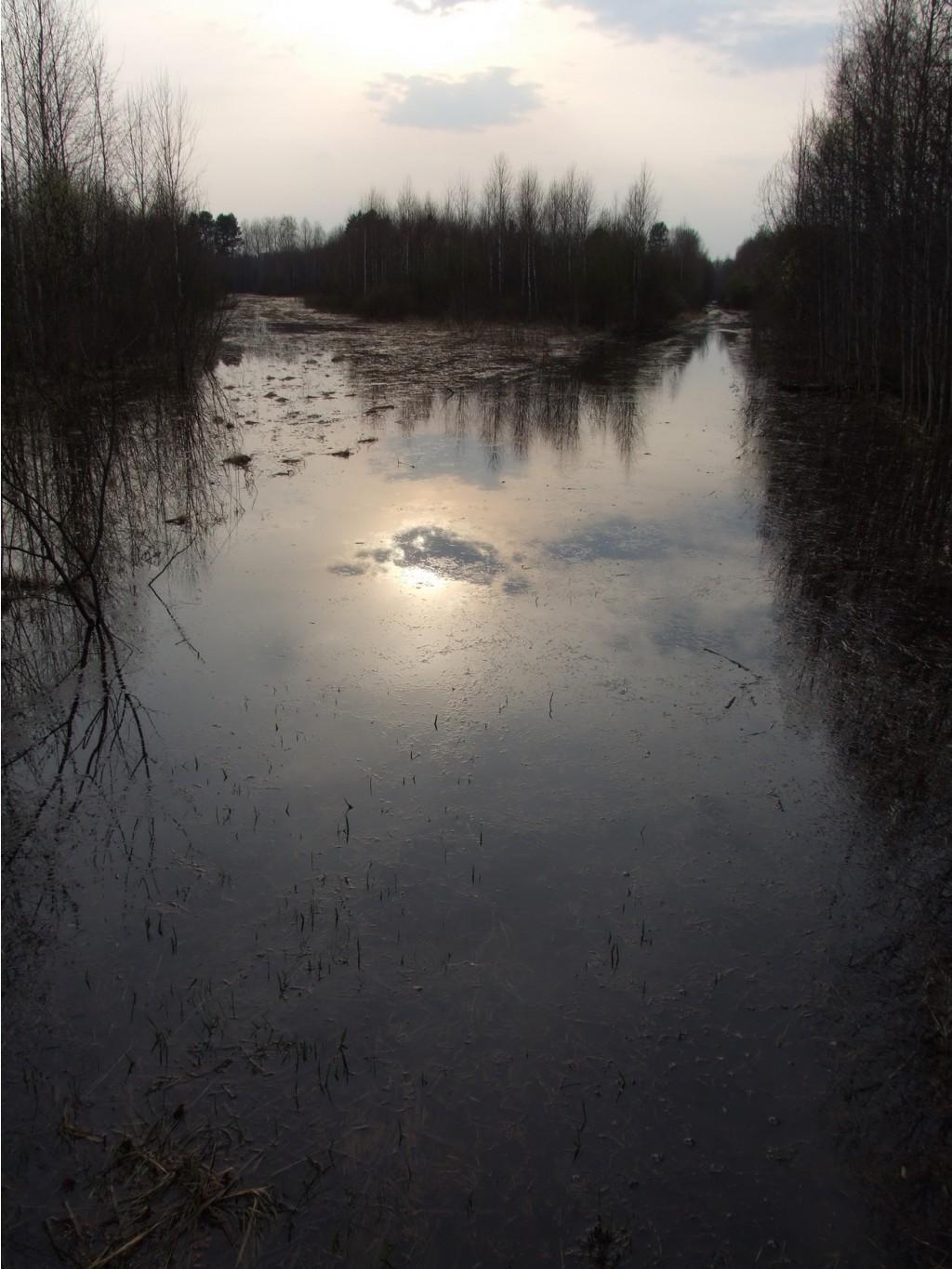 06.05.2010 0:08:53