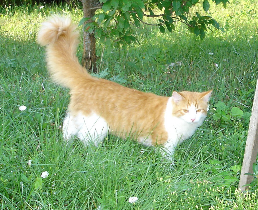 DSC01650.JPG