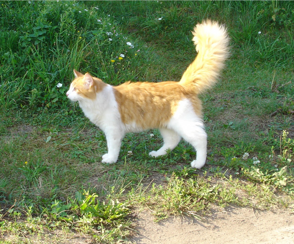 DSC01653.JPG