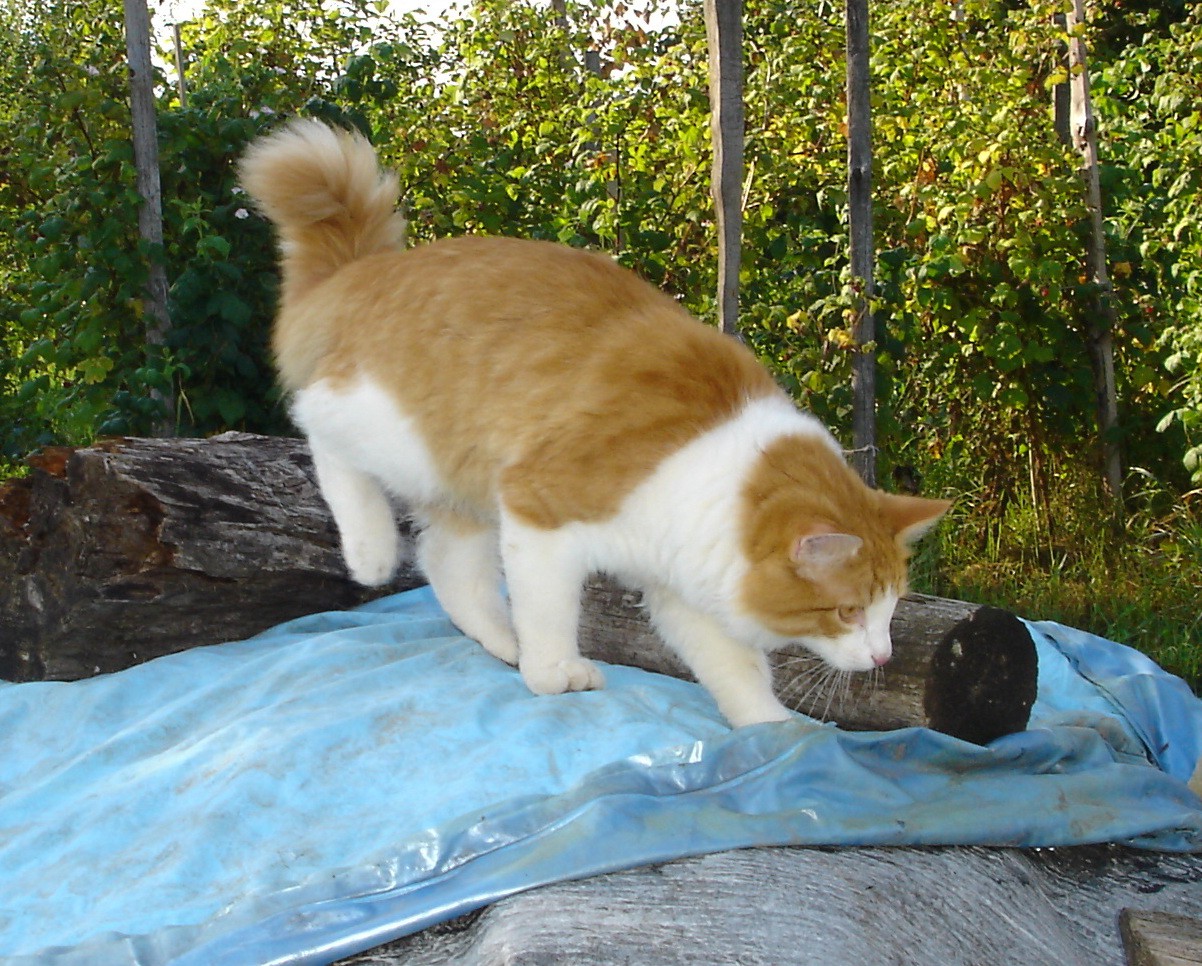 DSC01662.JPG