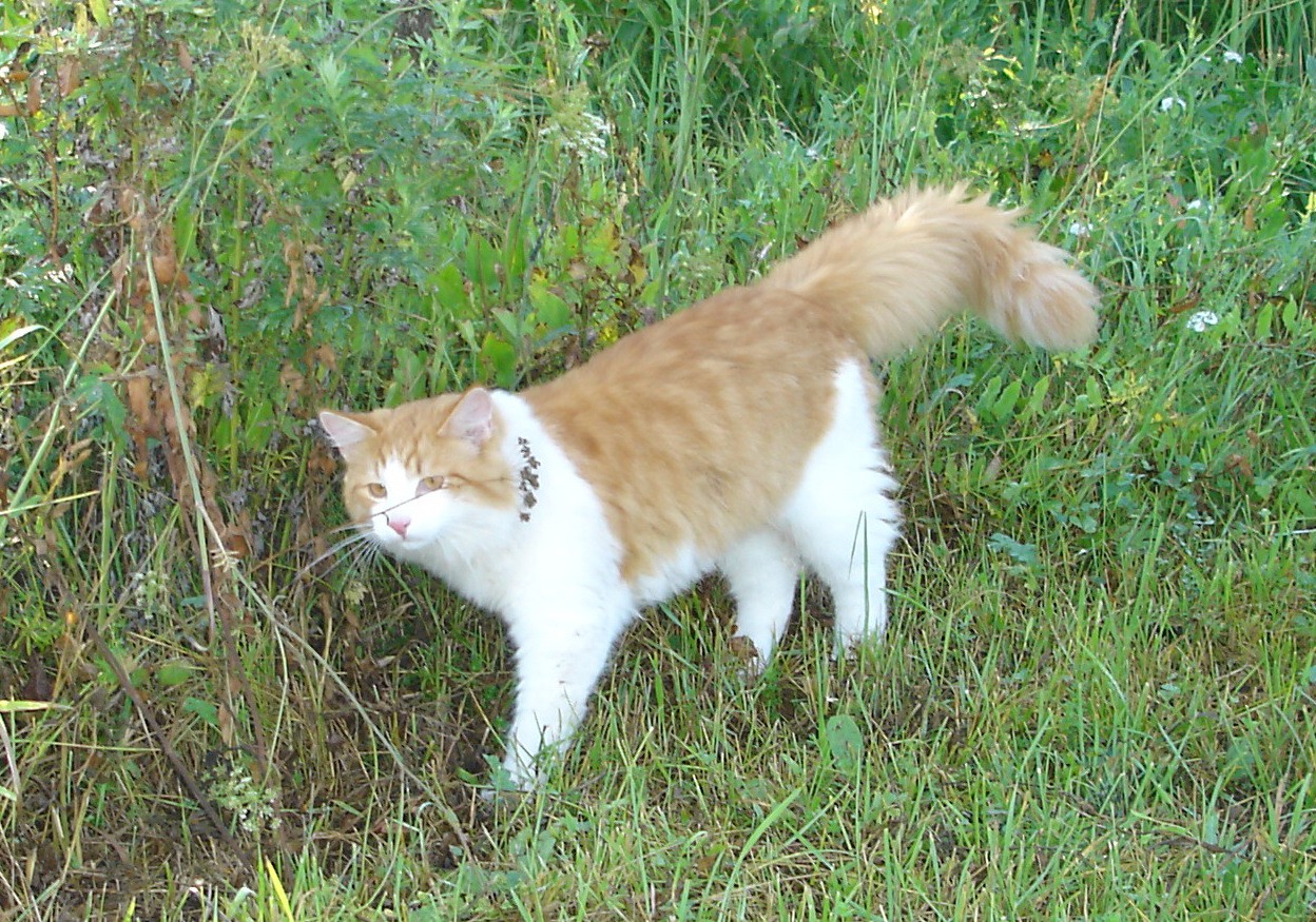 DSC01669.JPG