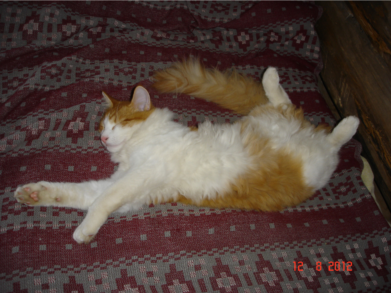 DSC01777.JPG
