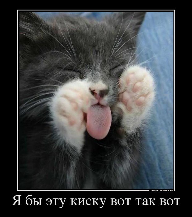 478371_ya-byi-etu-kisku-vot-tak-vot.jpg