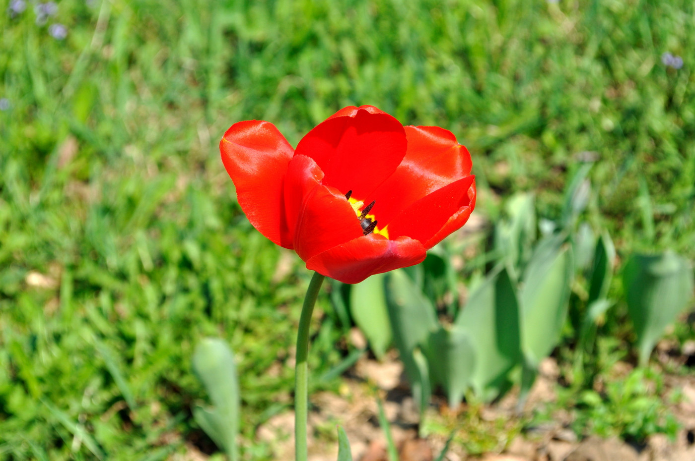 09.05.2010 19:40:05