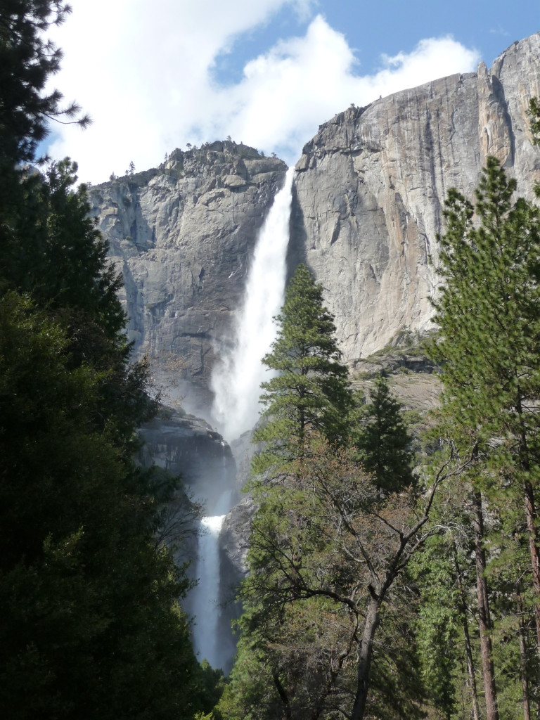 Yosemity Fall (     -- 739 )