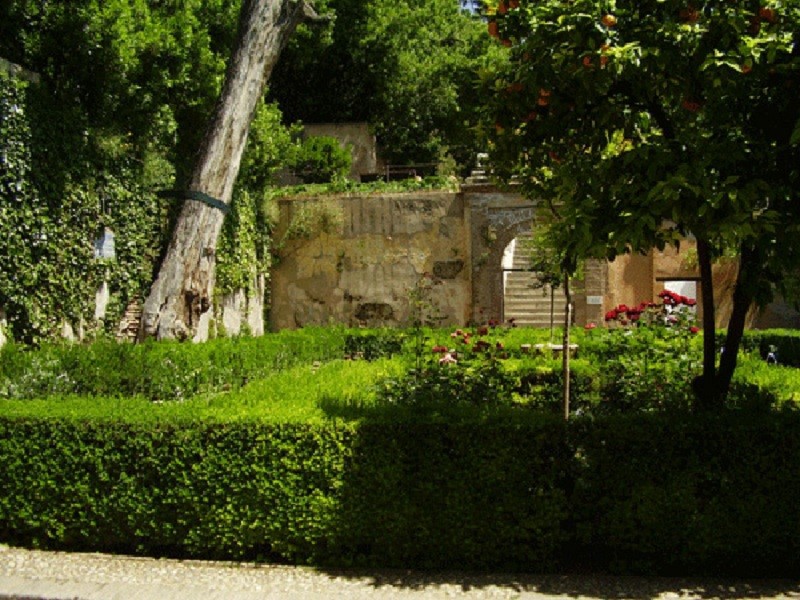 alham23.jpg