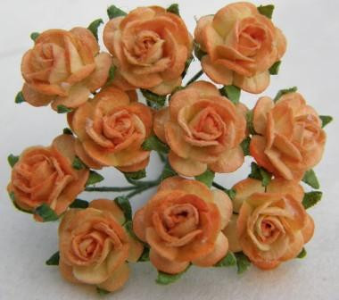 2-tone-apricot-mulberry-paper-roses