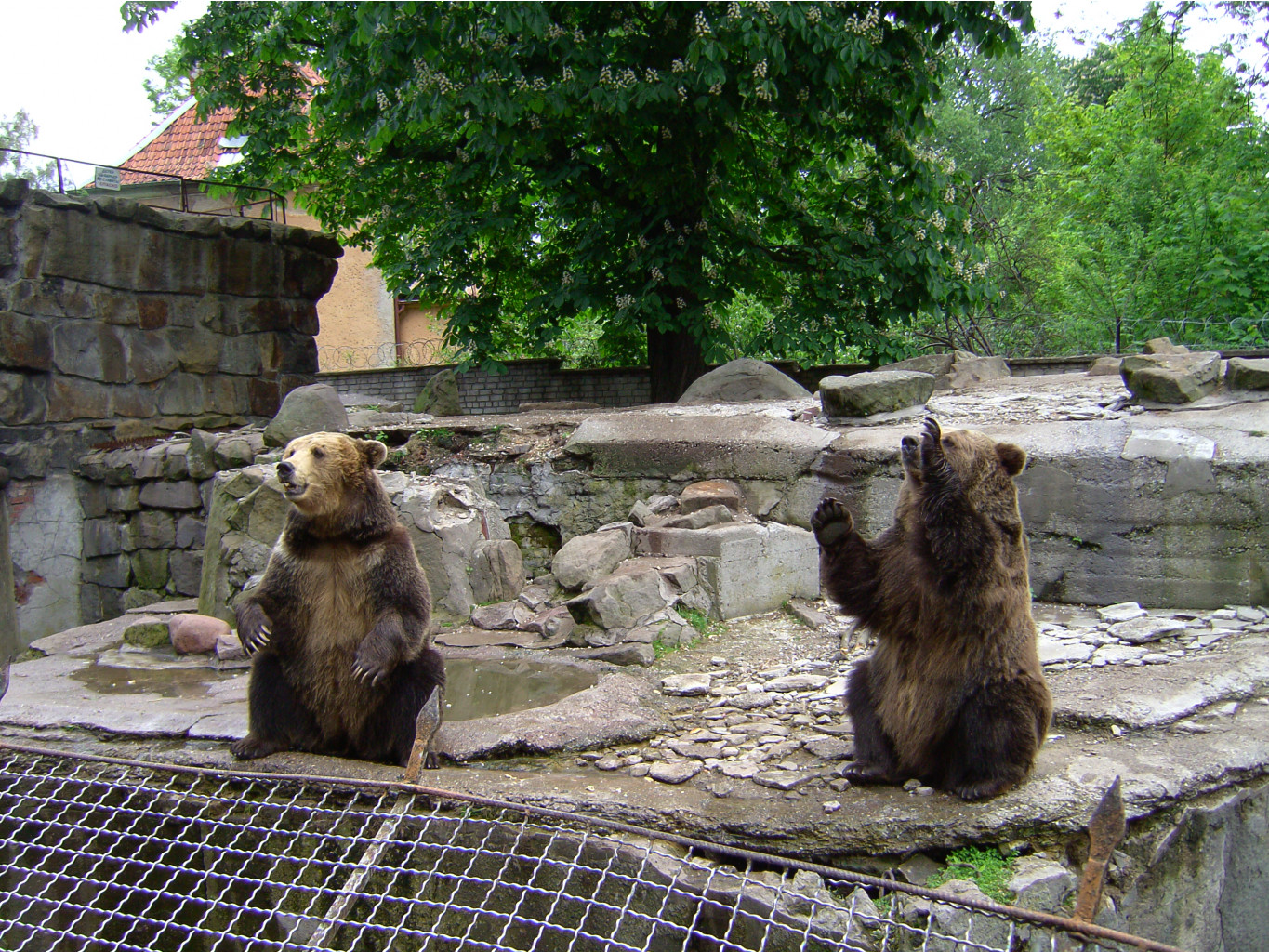 29.05.2010 11:18:38