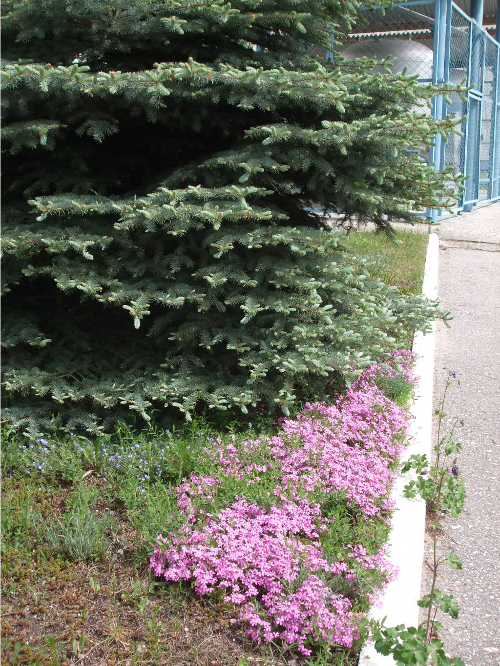 09.06.2010 19:30:04