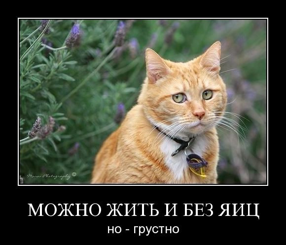 07.07.2010 14:42:06