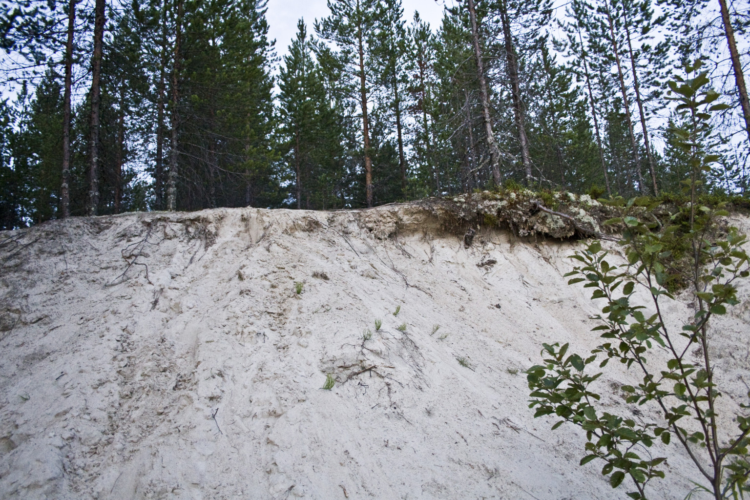 19.07.2010 21:22:07