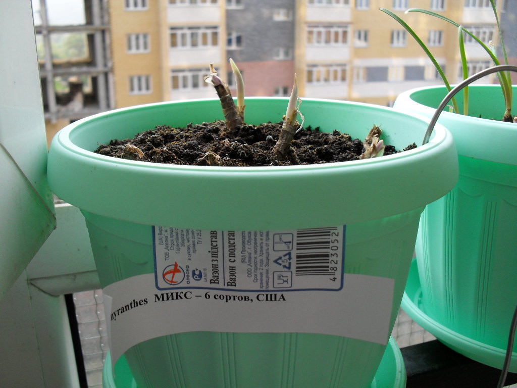 04.08.2010 16:36:05