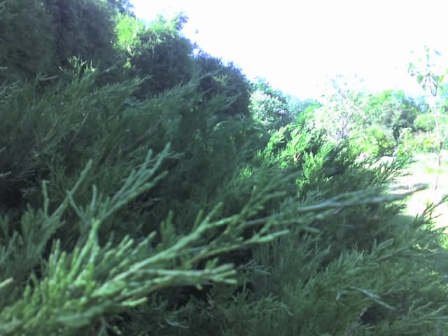 18.08.2010 9:40:32